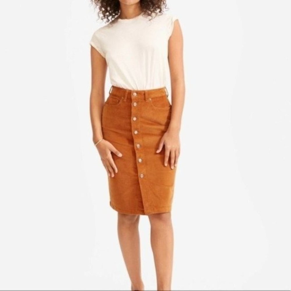 Everlane Skirt